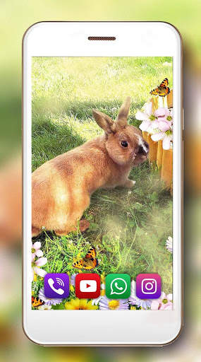 Bunnies Cute Live Wallpaper screenshot 3
