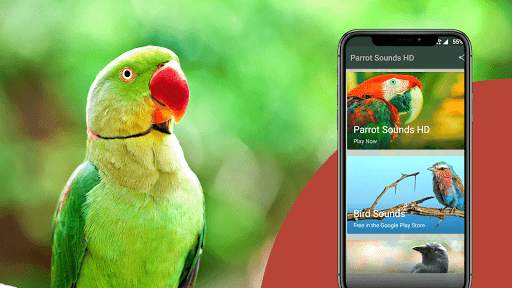 Parrot Sounds screenshot 2