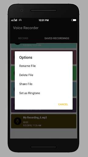 Smart Voice Recorder screenshot 3