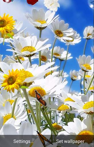 Spring Live Wallpaper screenshot 6