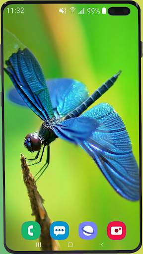 Dragonfly Wallpaper Best HD screenshot 1