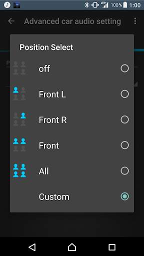 Advanced car audio setting screenshot 4