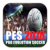 Guide For PES 2018 1.1.0