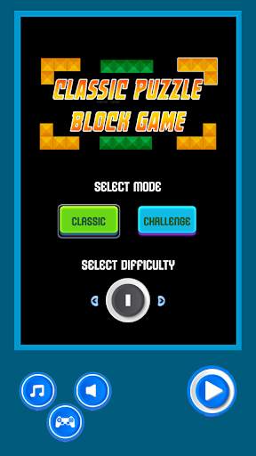 Classic Puzzle Block Game screenshot 1