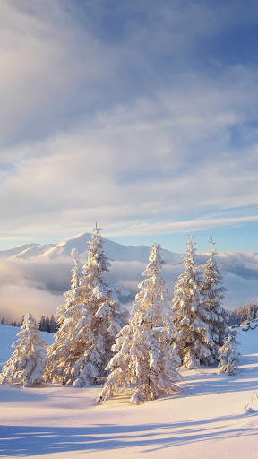 Winter Wallpapers : backgrounds hd screenshot 8