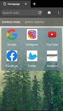 Web browser screenshot 4