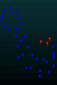 Birds Live Wallpaper Free screenshot 4