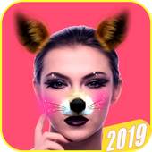 Sweet Camera Snap 1.1