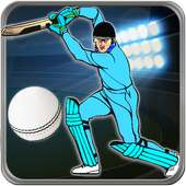 Quick Cricket