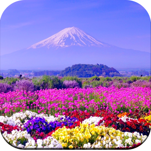 Beautiful Spring Wallpaper  4K icon