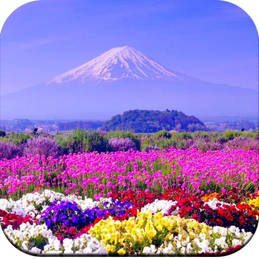 Beautiful Spring Wallpaper  4K 1.12