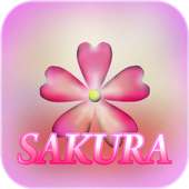 Sakura launcher XL on 9Apps