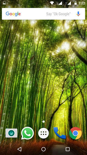 Plant HD Wallpaper screenshot 4