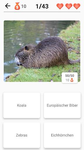 Säugetiere - Lernen Sie alle Tiere im Foto-Quiz! screenshot 5