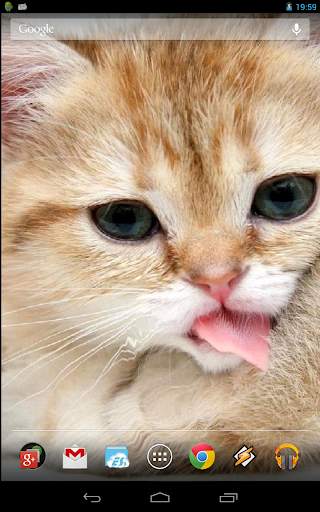 Magic Touch: Fluffy Cat Live Wallpaper screenshot 2