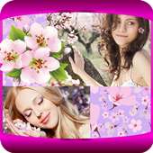 Sakura Photo Collage logo