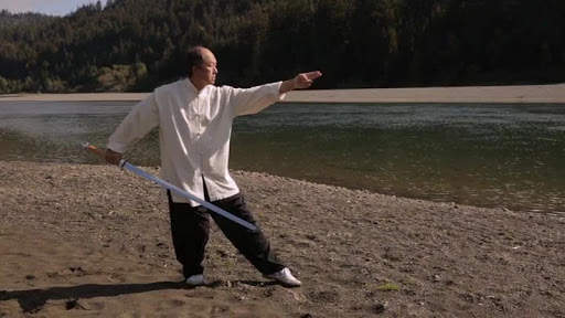 Tai Chi Sword for Beginners (YMAA) screenshot 8