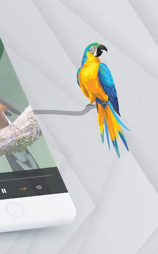 Suara pikat burung kecil lengkap screenshot 4