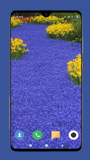 Garden Wallpaper HD screenshot 7