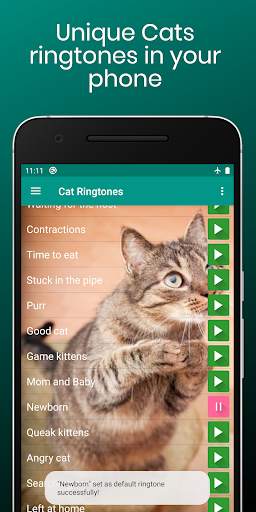 Cat Sounds Ringtones Purr screenshot 5