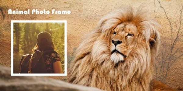 حيوان إطار الصورة 1 تصوير الشاشة