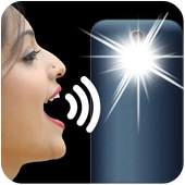Speak to Flashlight on/off 1.2