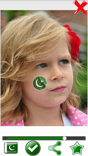 Paint Flag On Face screenshot 4