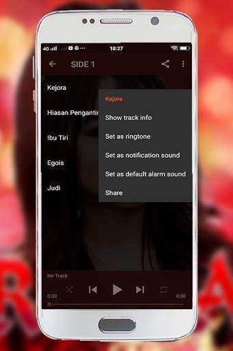Lagu Rara Offline screenshot 7