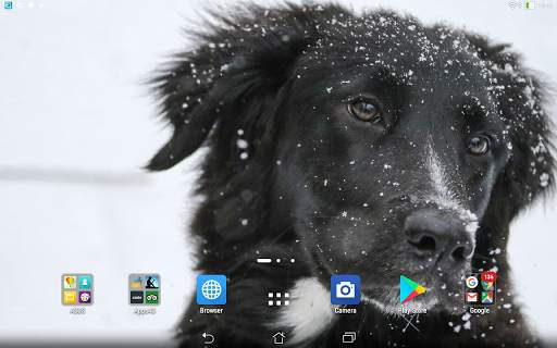 Labrador retrievers live wallp screenshot 3