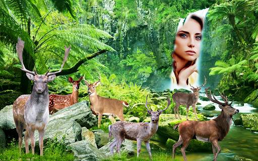 Wild Animal Photo Editor: Photo Frames Banane Wala screenshot 9