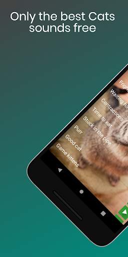 Cat Sounds Ringtones Purr screenshot 2