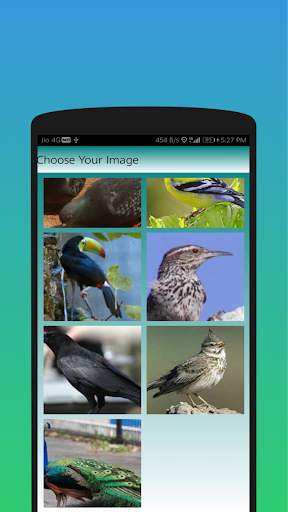 Birds Puzzle And Jigsaw screenshot 5
