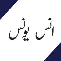 Best of Anas younus Offline logo