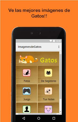Fotos de Gatos screenshot 3