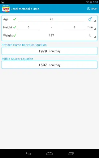 BMR Calculator screenshot 3