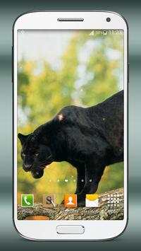 Black Panther Live Wallpaper screenshot 7