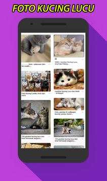 Gambar Foto Kucing Lucu screenshot 3