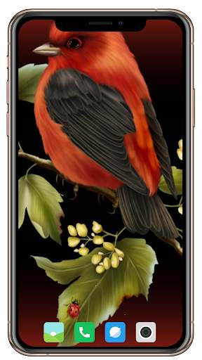 Bird HD Wallpaper screenshot 15