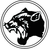 Pantere Security icon