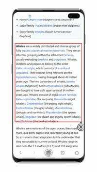 Camera Screen Translator screenshot 4