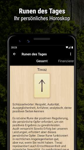 Runen Divination - Runen-Tarot screenshot 3