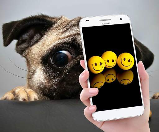 Funny Gif Stickers screenshot 7