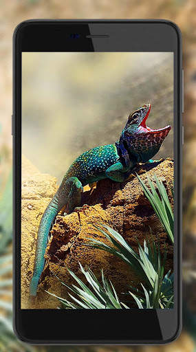 Lizards Live Wallpaper screenshot 3