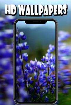 Flower Wallpapers HD स्क्रीनशॉट 3
