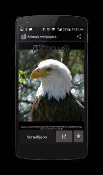 Ufone Animal Wallpapers screenshot 4