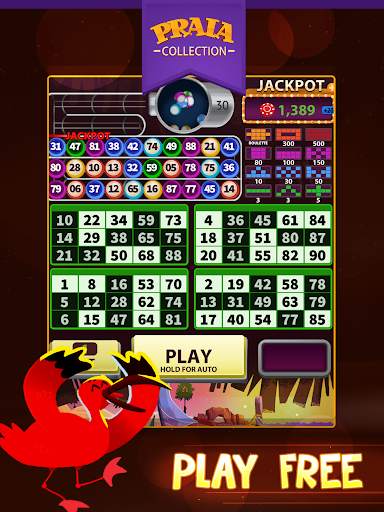 Video Bingo Jeri screenshot 6