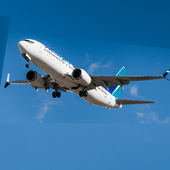 Boeing 737 Crash News icon