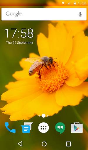 Working Bees Animated Keyboard screenshot 6