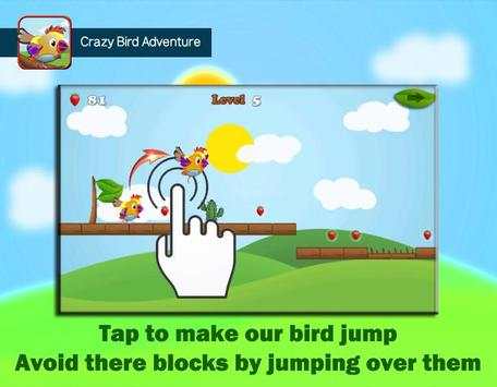 Crazy Bird Adventure screenshot 3