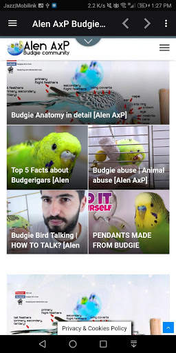 Alen AxP Budgie Community 8 تصوير الشاشة